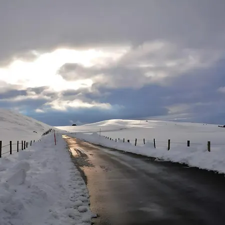 De Charme Oliabou Laurie