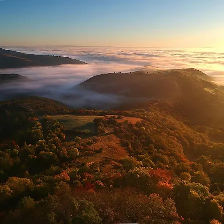 Holiday home De Charme Oliabou Laurie