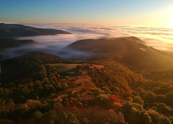 Holiday home De Charme Oliabou Laurie